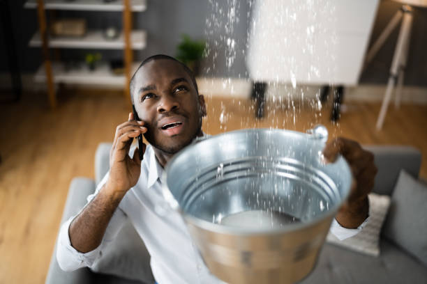 Best Local water damage restoration  in Lithopolis, OH