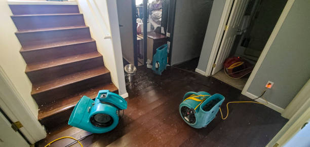Best Water damage cleanup near me  in Lithopolis, OH