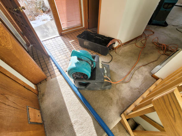 Best Local water damage restoration  in Lithopolis, OH