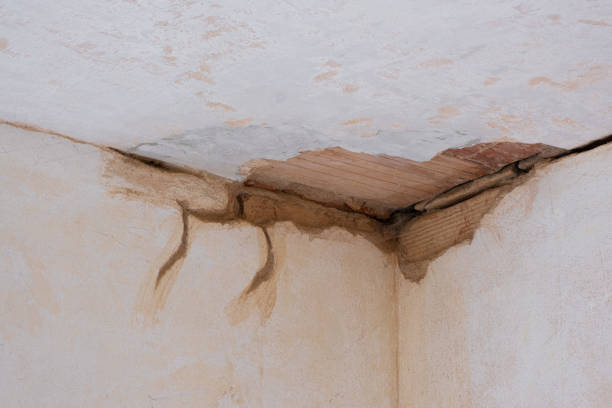Best Sewage cleanup and water damage restoration  in Lithopolis, OH