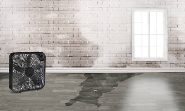 Best Commercial water damage restoration  in Lithopolis, OH