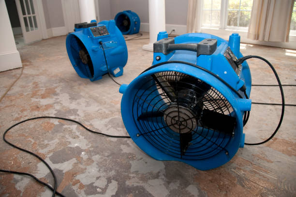Best Water damage repair service  in Lithopolis, OH