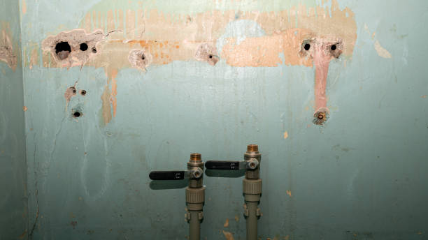 Best Water damage restoration specialists  in Lithopolis, OH